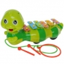 Каталка-ксилофон Toy Target Гусеница